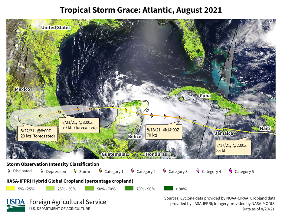 images\Year_2021\August\Cyclones\Mexico, Central America and Caribbean\Grace_thumb.png